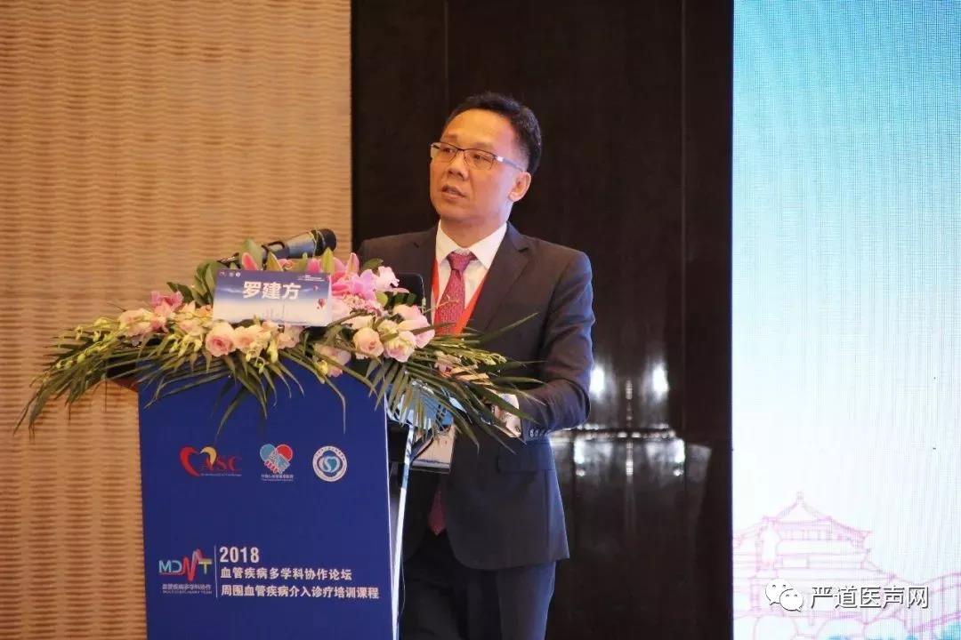 专访︱罗建方:以多学科协作诊疗 提升血管疾病防治水平 -- 严道脑血管网