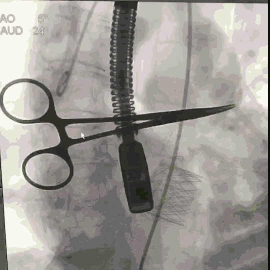 5.gif