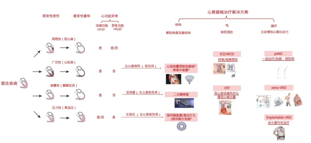 聚焦·心衰丨心血管病最后的战场，心衰器械治疗的黄金十年(完整版) -- 严道脑血管网